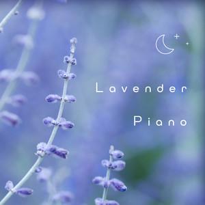 回来吧! 苏连多