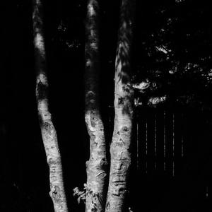 Fascinate Me (Explicit)