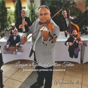 Messze a nagy erdő (Cigányszerelem)