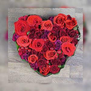 Bébé je t'aime (Radio Edit|Explicit)