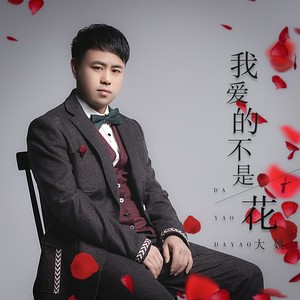 我爱的不是花 (DJ月之歌版)