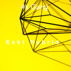 Eskt Hybrid