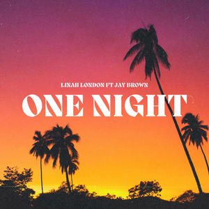 One Night (feat. Jay Brown Beatz)