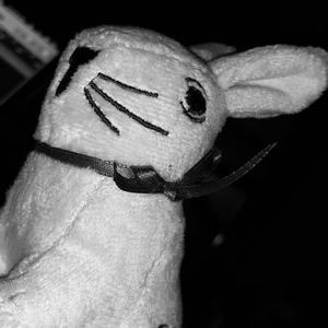 I'm not really good at naming things (Explicit)