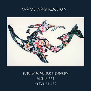 Wave Navigation