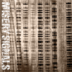 Misery Signals (Explicit)