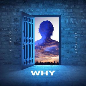 Why (feat. Lil Endo) [Explicit]