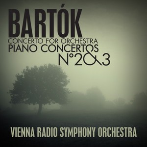 Concerto No. 2 in G Major for Piano and Orchestra, Sz 95 (BB 101) - I. Allegro
