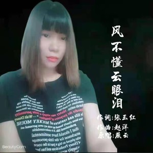 风不懂云眼泪