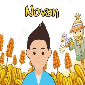 Novan learning