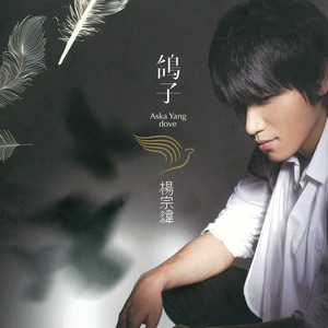 杨宗纬专辑《鸽子》封面图片