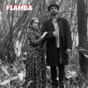 Salguta Salmonella Typhi