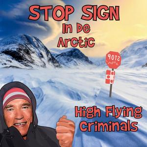 Stop Sign In De Arctic