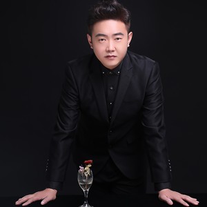 黑蝙蝠中队封面