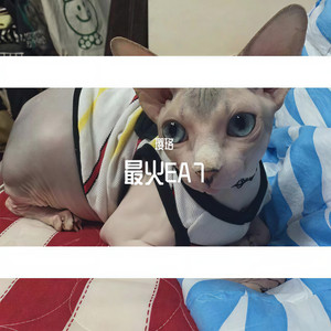 精神电鼓 (Remix)