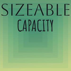 Sizeable Capacity
