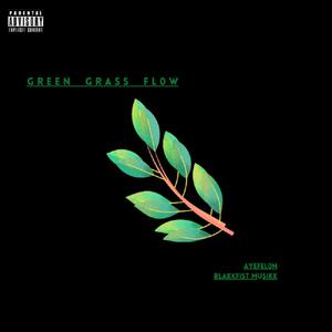 Green Grass Flow (feat. Blakkfist Musikk) (Explicit)