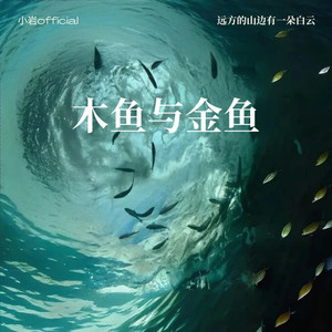 木鱼与金鱼 (R&B版)封面