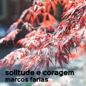 Solitude e Coragem