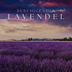 Beruhigender Lavendel