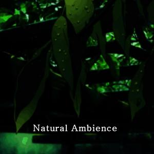 Natural Ambience