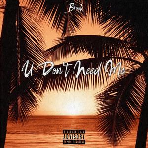 U Don't Need Me (Explicit)