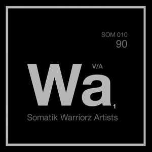 Somatik Warriorz Artists