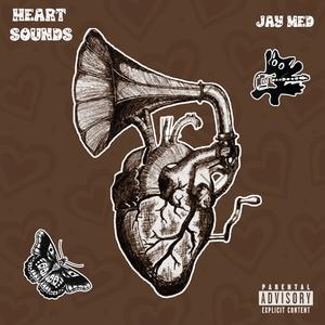 Heart Sounds (Explicit)