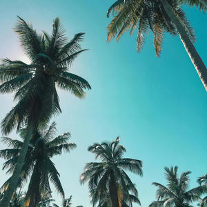 Tryna get how i live (feat. Yung Slug) (Explicit)