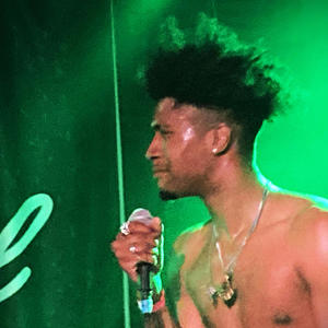 Megan Fox (feat. BM$ DRACO) (Explicit)