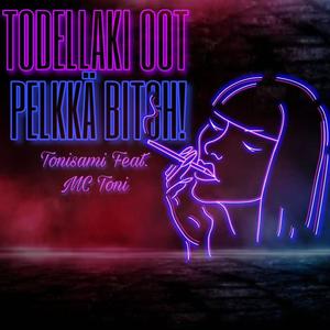 Todellaki oot pelkkä *****! (feat. MC Toni) (Explicit)