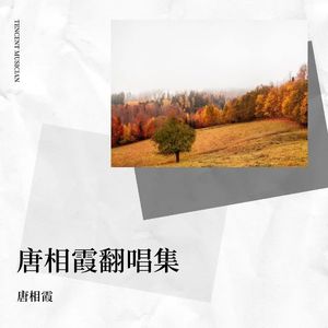 月亮代表我的心