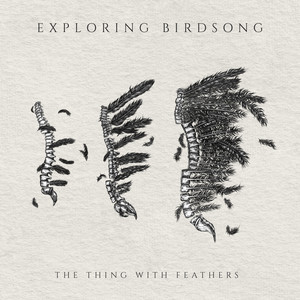 The Thing with Feathers