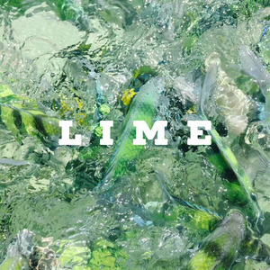 LIME