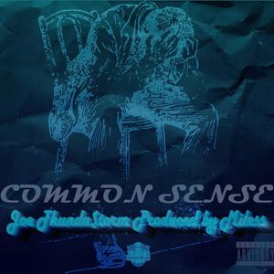 Common Sense (feat. Joe Thunda$torm) [Explicit]