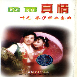 风雨真情