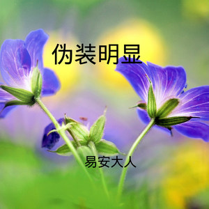 我的一个道姑朋友 (DJ版)