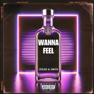 Wanna Feel (Explicit)