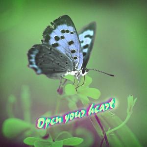 Open your heart