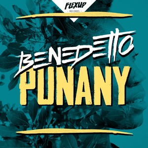 Punany