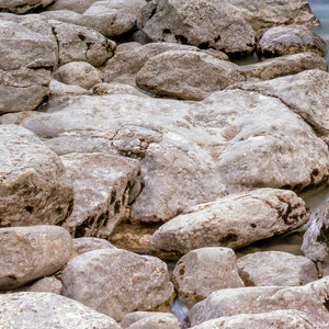 Two Christmases, No Home