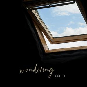 Wondering