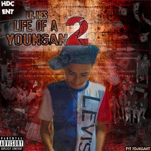 Life Of A Youngan 2 (Explicit)