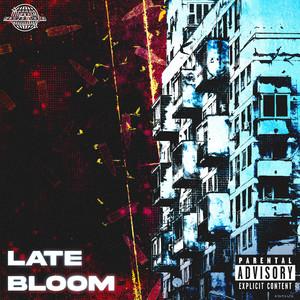 LATE BLOOM