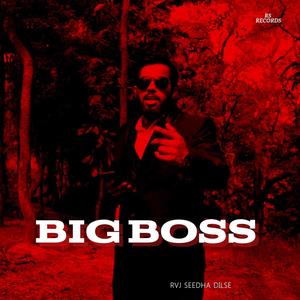 BIG BOSS (HIP HOP BEAT) (SEEDHA DILSE)