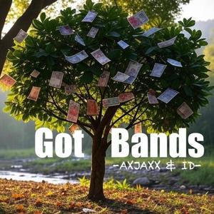 Got Bands (Explicit)