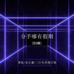分手哪有假期 (DJ版)