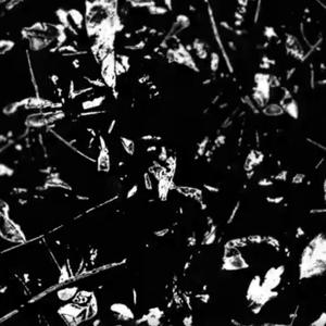 Vapours (Extended Mix)