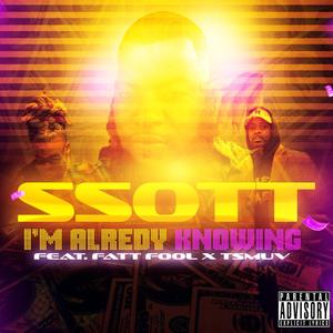 I'm Already Knowing Radio Edit (feat. Fatt Fool) (Melodic Version)