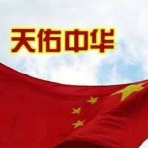 天佑中华
